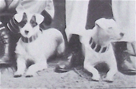 Two of the more lovable members of London Rowing Club.