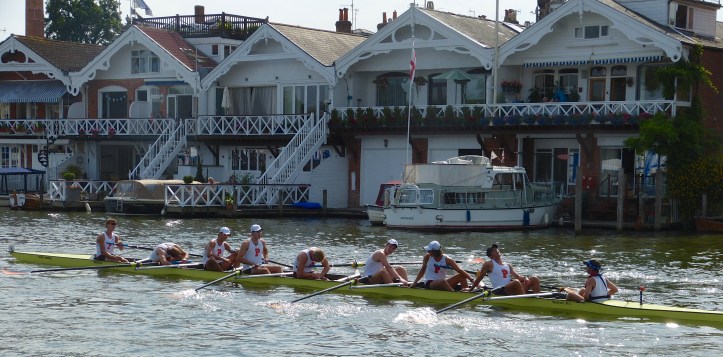 Pic 2. The Princeton Tigers in defeat.