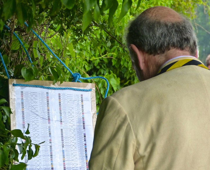 Pic 1. ‘How is Clare doing?’ An alumnus of Clare College Boat Club checks a bumps chart hung along the towpath on the final day of the 2015 ‘Mays’, Saturday 13 June.
