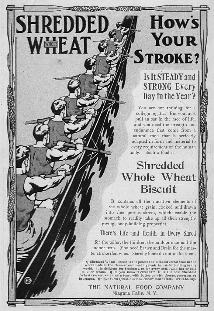 Pic 3a. This American ad from 1905 urges the consumption of ‘Shredded Whole Wheat Biscuit’ as we all ‘must pull an oar in the race of life’ and ‘need Brawn and Brain for the master stroke that wins’. What ever they ate, this crew would do better if they all had their outside hands on the end of their handles.
