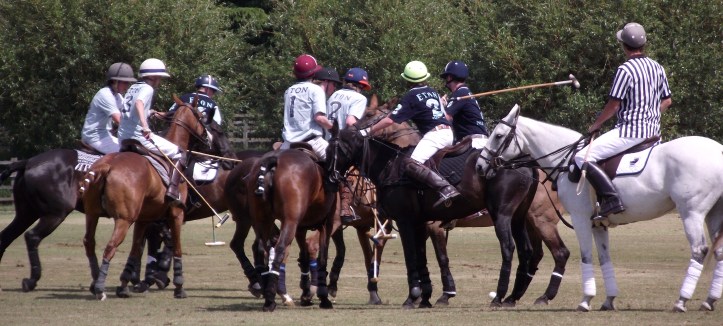 Pic 8. Intraschool polo match, ‘Fourth of June’, 2011.