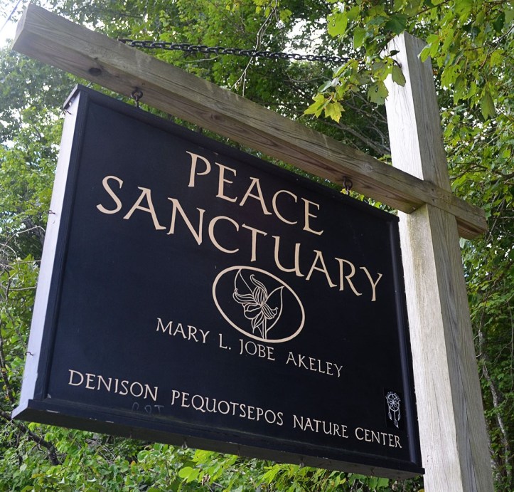 Photo: The Mystic Wave.