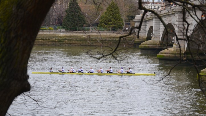 Pic 12. University of London I – eighth. 