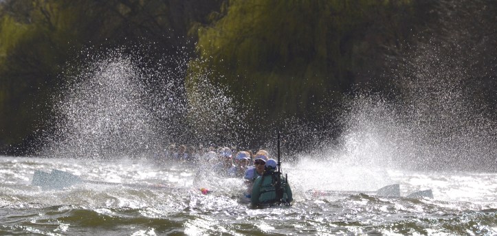 Below Barnes Bridge, the almost obscured Oxford hug the sheltered Middlesex shore while Cambridge battle on in what would normally be the fastest water. Photo: Tim Koch.