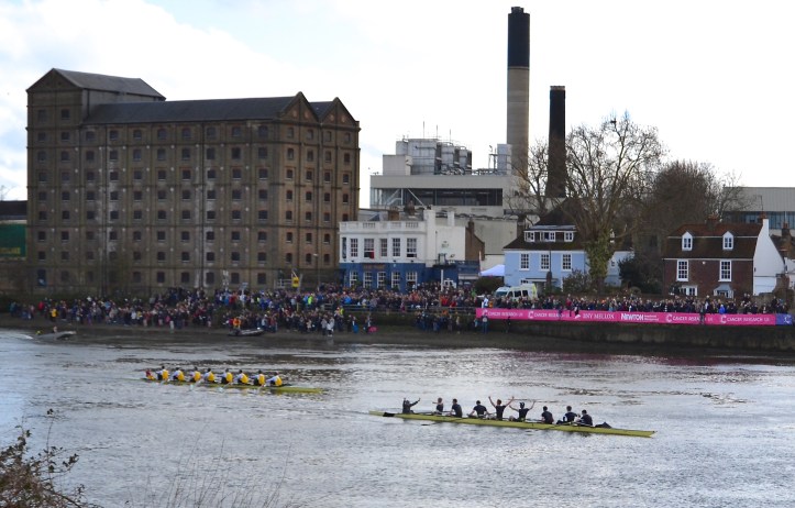 Pic 17. Isis beats Goldie, 2016.