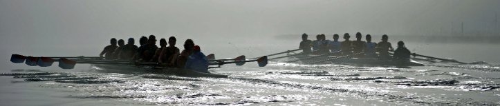 rowers in fog