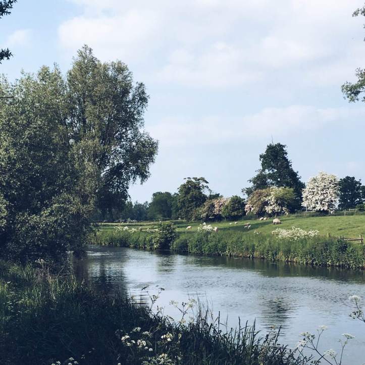 Picture Six: The tiny bleats of the lambs in this field are incredibly distracting. Photo: CL.