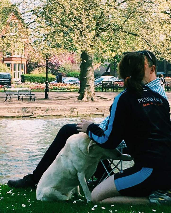 Picture 3: Neria making friends with Labrador Scout. Owners name Unknown. Photo: CL, with an iPhone 6 and VSCO. 