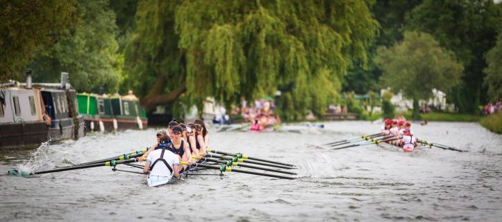 Made you look, LMBC. Photo: Matevž Poljanc.