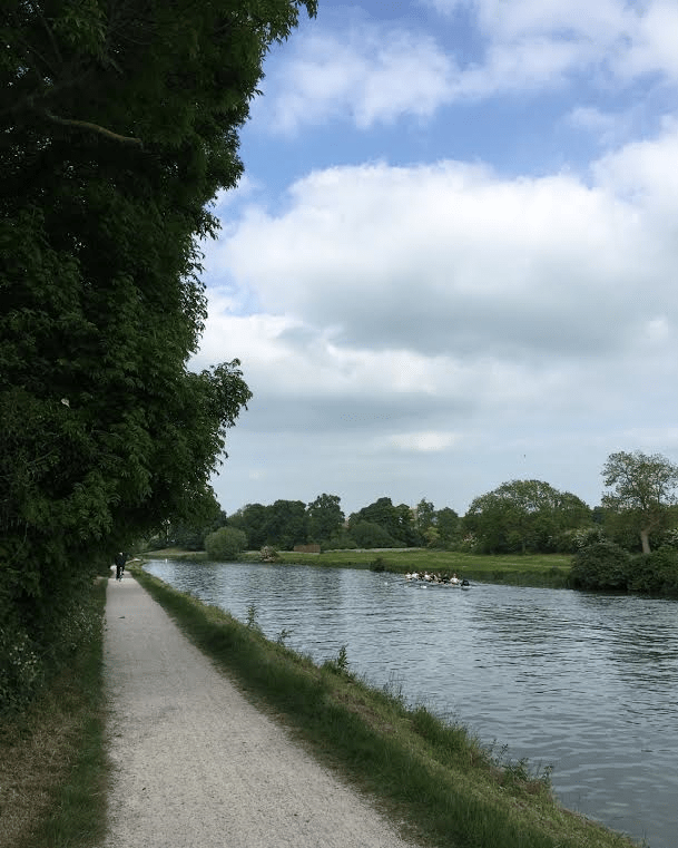 The Long Reach, looking downstream towards Ditton Corner.