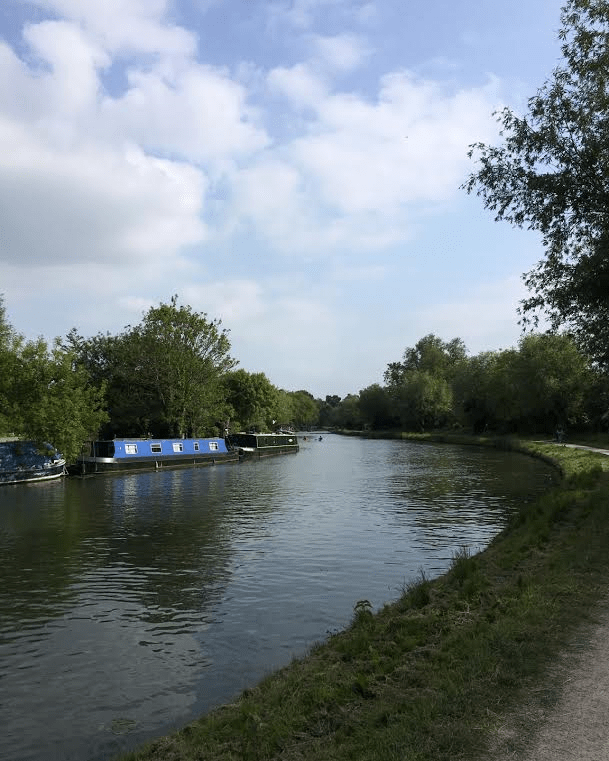 The view upstream from Grassy Corner, towards the Plough.