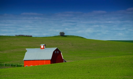 Red-Barn