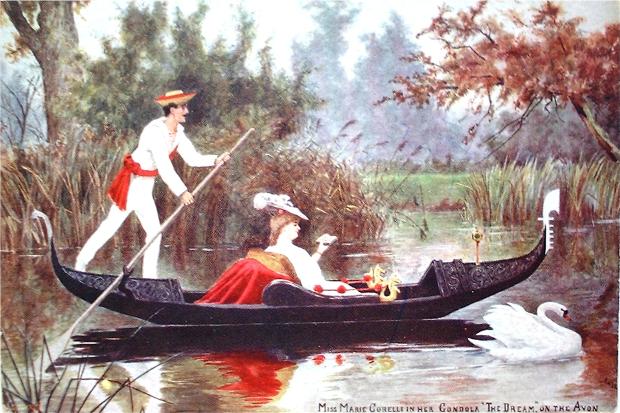 Two swans amongst the rushes