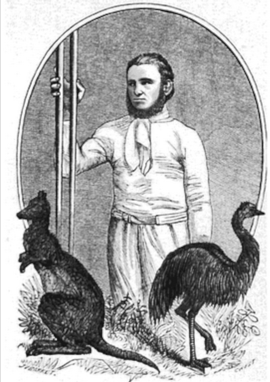 Green: What’s that Skippy? http://tvtropes.org/pmwiki/pmwiki.php/Series/SkippyTheBushKangaroo I’m vain, touchy and grandiloquent?