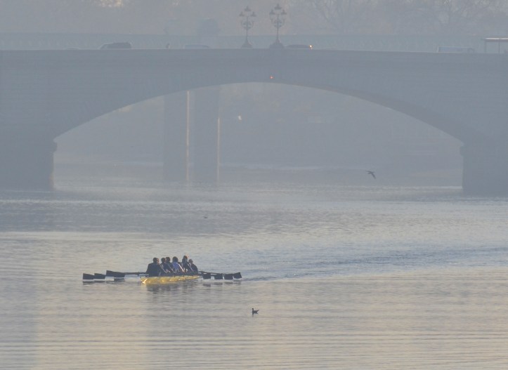 Also on an early practice, the other men’s boat, “Acer”, coxed by Sam Collier and stroked by Jamie Cook.